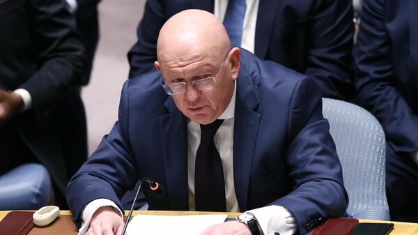Василий Небензя - Sputnik Казахстан
