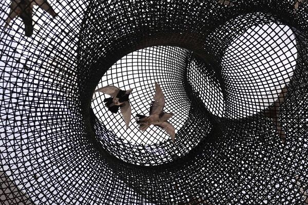 Токаев посетил музей АЛЖИР - Sputnik Казахстан