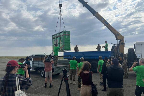 Лошади Пржевальского прибыли в Казахстан Лошади Пржевальского прибыли в Казахстан - Sputnik Казахстан