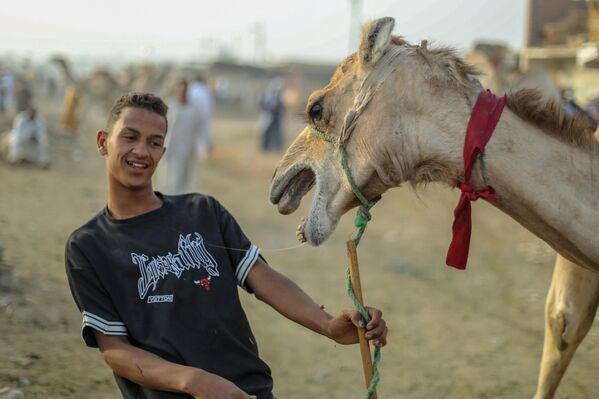 Возмущенный верблюд и его продавец на рынке скота в Буркаш-Базаре в Гизе, Египет. - Sputnik Казахстан