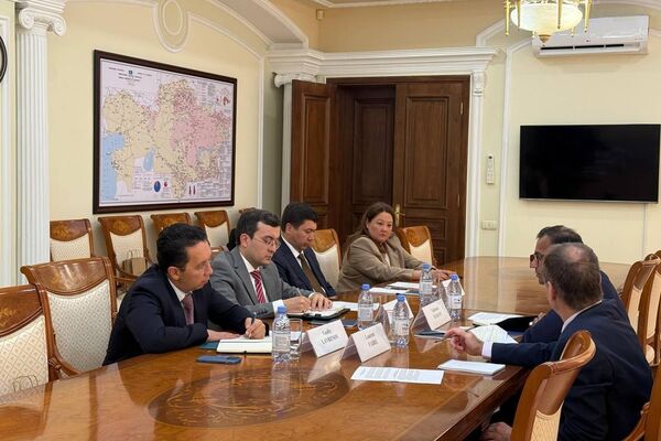 Встреча представителей Агентства по атомной энергии и французской компании  Électricité de France - Sputnik Казахстан