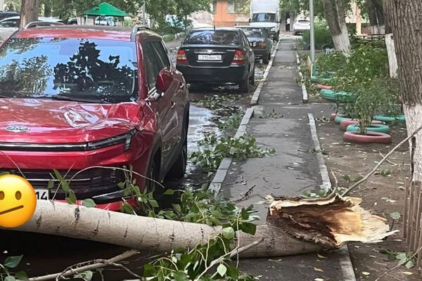 Павлодар облысының әкімдігі дауылдың салдарын көрсетті - Sputnik Қазақстан