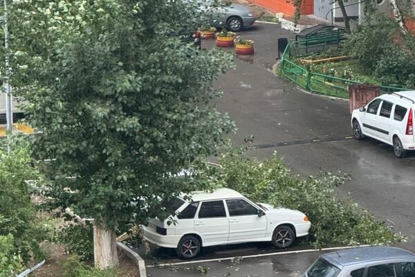 Акимат Павлодарской области показал кадры последствия урагана - Sputnik Казахстан