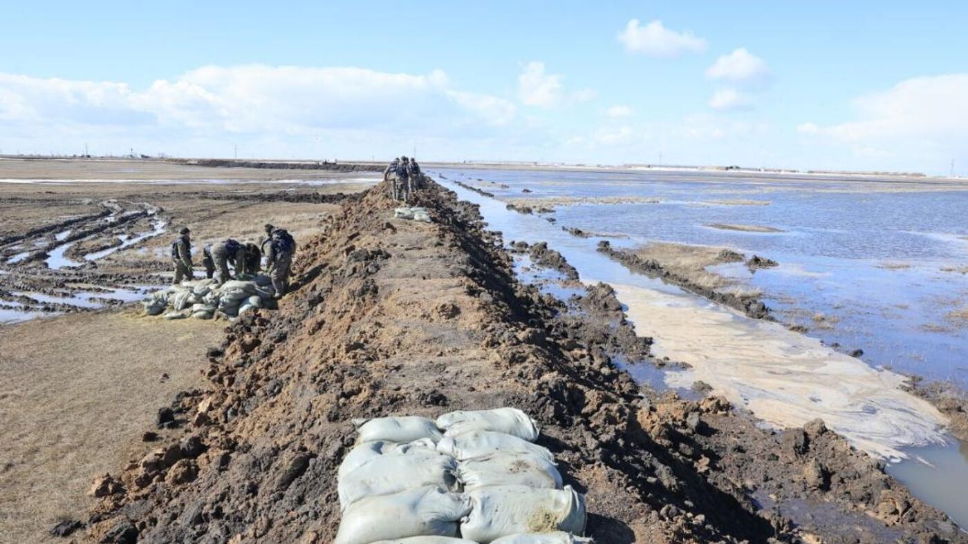 Кішкентай, бірақ үлкен сиськи бар