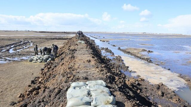 Сүйкімді балапан кот сорып, ақша үшін туалетте трахает Қысқа секс әңгімелер