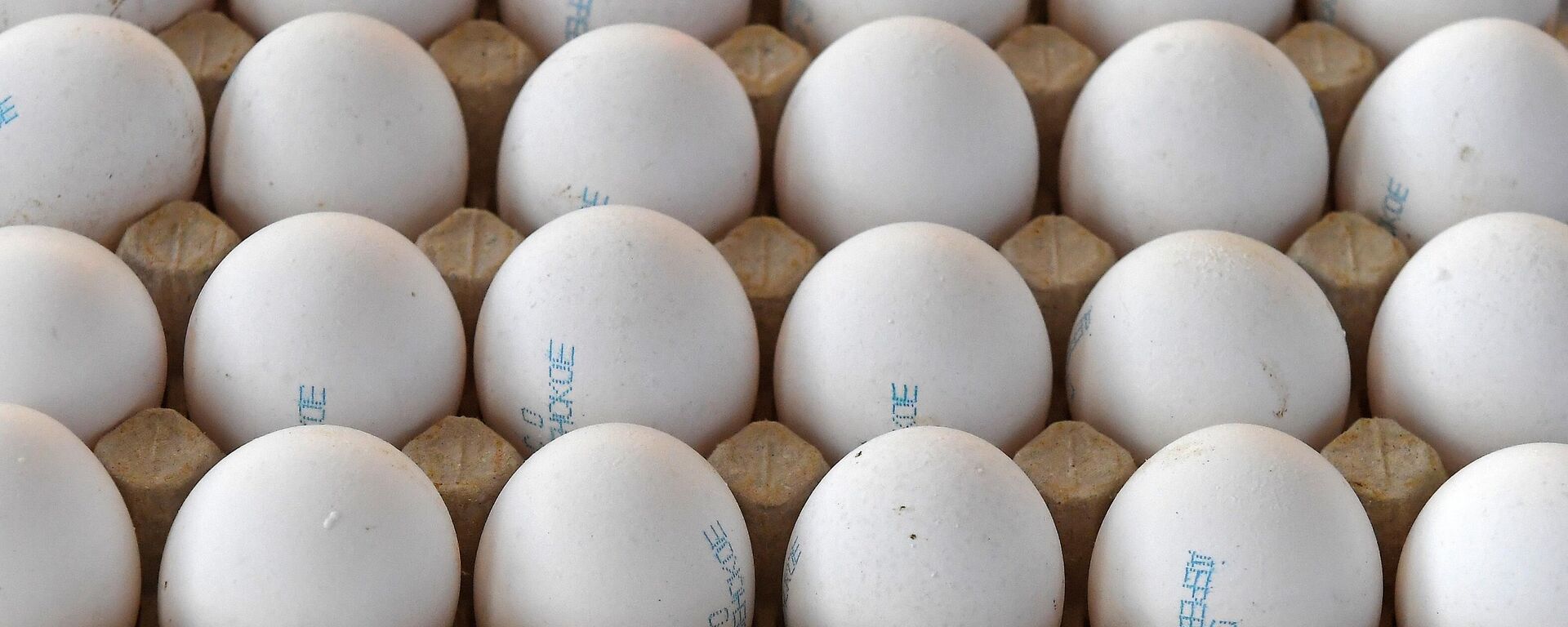 Куриные яйца - Sputnik Казахстан, 1920, 11.12.2025