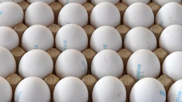 Куриные яйца - Sputnik Казахстан