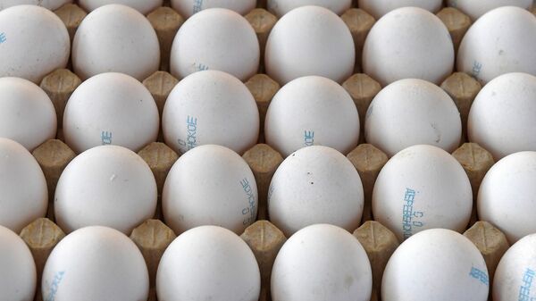 Тауық жұмыртқалары - Sputnik Қазақстан