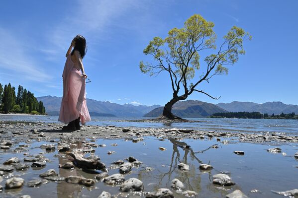 Туристка на фоне одинокой ивы, известной как дерево Ванака в Новой Зеландии. Это одно из самых фотографируемых деревьев в стране и символ новозеландского туризма. - Sputnik Казахстан