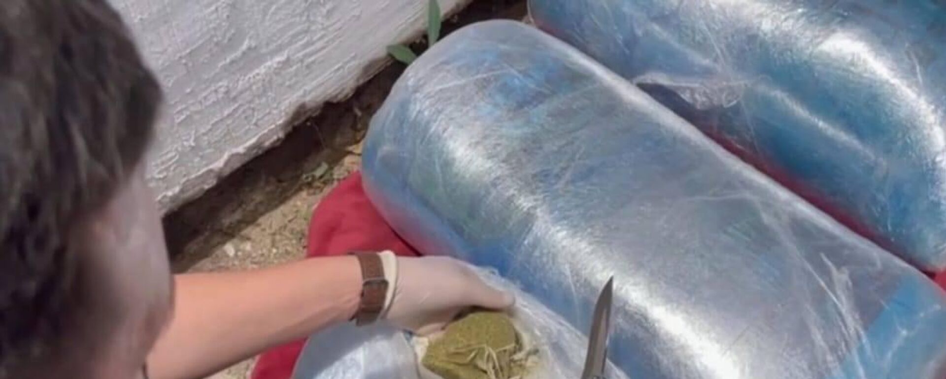 Крупную партию марихуаны и гашиша изъяли полицейские Абайской области  - Sputnik Казахстан, 1920, 23.07.2025