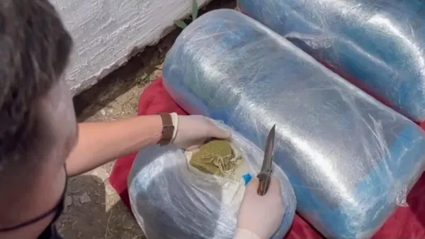 Крупную партию марихуаны и гашиша изъяли полицейские Абайской области  - Sputnik Казахстан