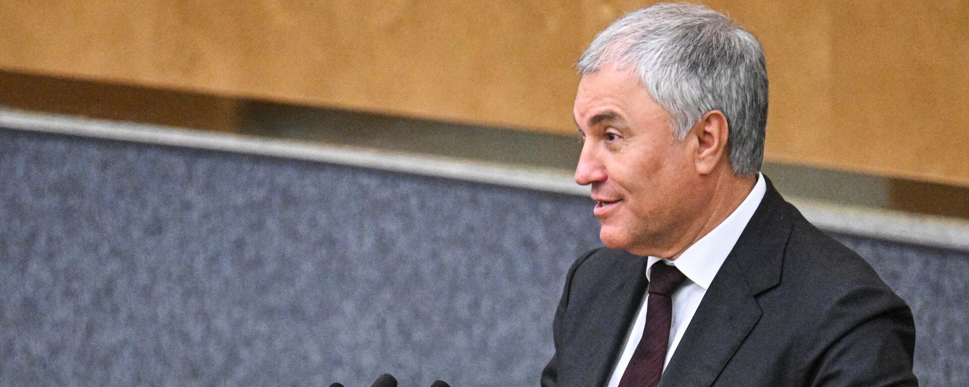 Председатель Госдумы РФ Вячеслав Володин  - Sputnik Казахстан, 1920, 09.08.2025