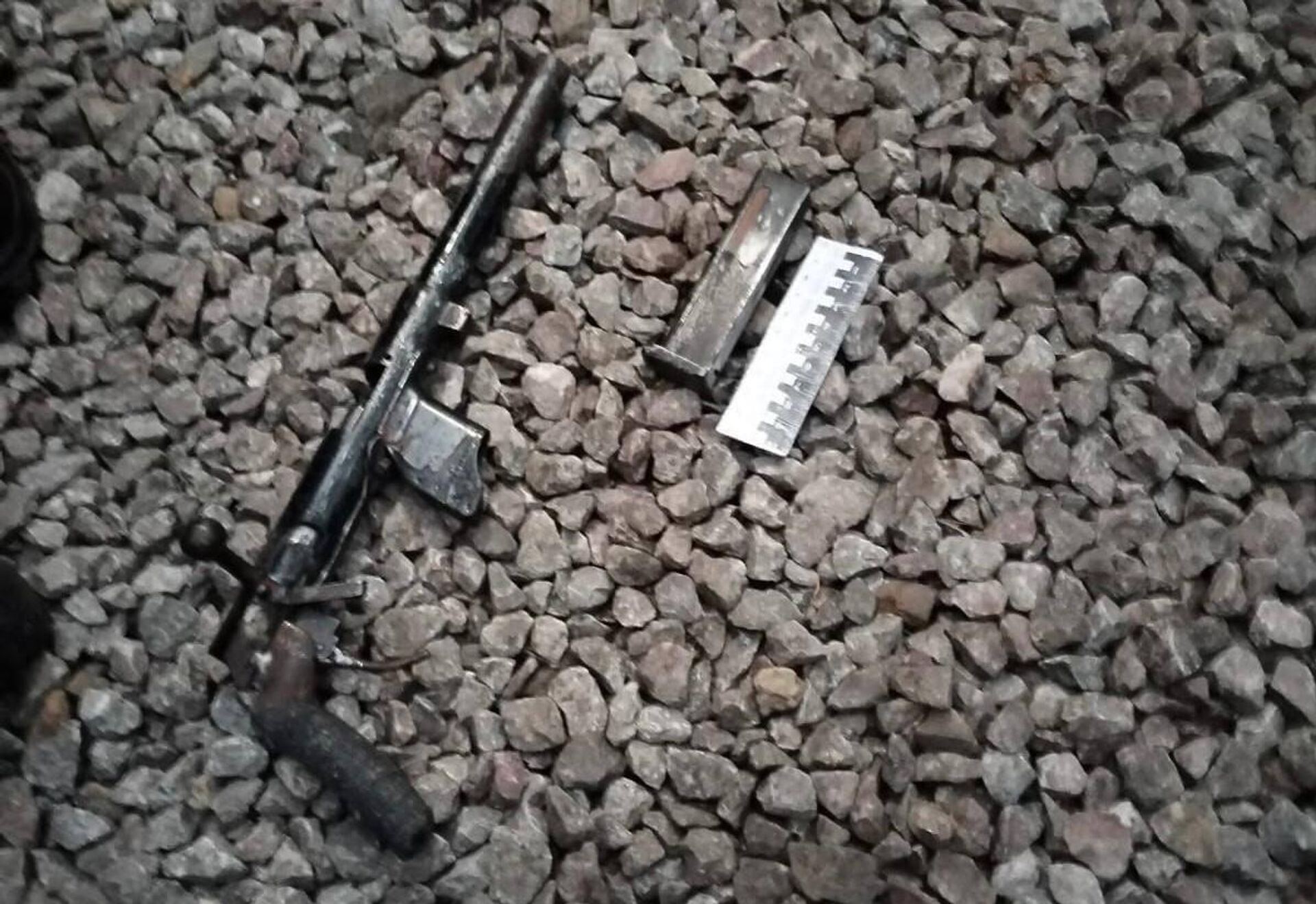 Қостанай облысының тұрғыны үйінде қару, ауласында марихуана жасырып келген - Sputnik Қазақстан, 1920, 25.07.2025