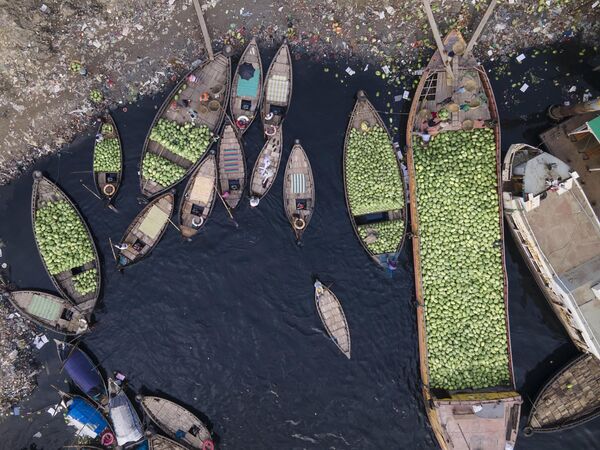 Думаете только мякоть в арбузе полезна? Арбузные корочки также являются источником уникальных аминокислот. К примеру, цитруллин, который играет  важную роль в выведении из организма токсичных веществ. Цитруллин, кроме того, способствует энергетическому обмену в клетках. - Sputnik Казахстан