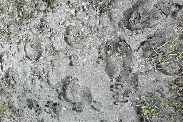 Алматы облысында 130 млн теңгеге салынған бөгетті су шайып кетті Алматы облысында 130 млн теңгеге салынған бөгетті су шайып кетті - Sputnik Қазақстан