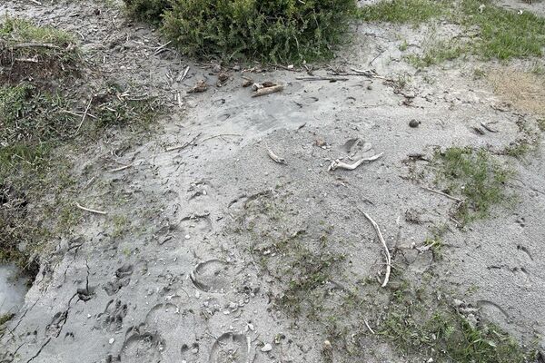 Алматы облысында 130 млн теңгеге салынған бөгетті су шайып кетті Алматы облысында 130 млн теңгеге салынған бөгетті су шайып кетті - Sputnik Қазақстан