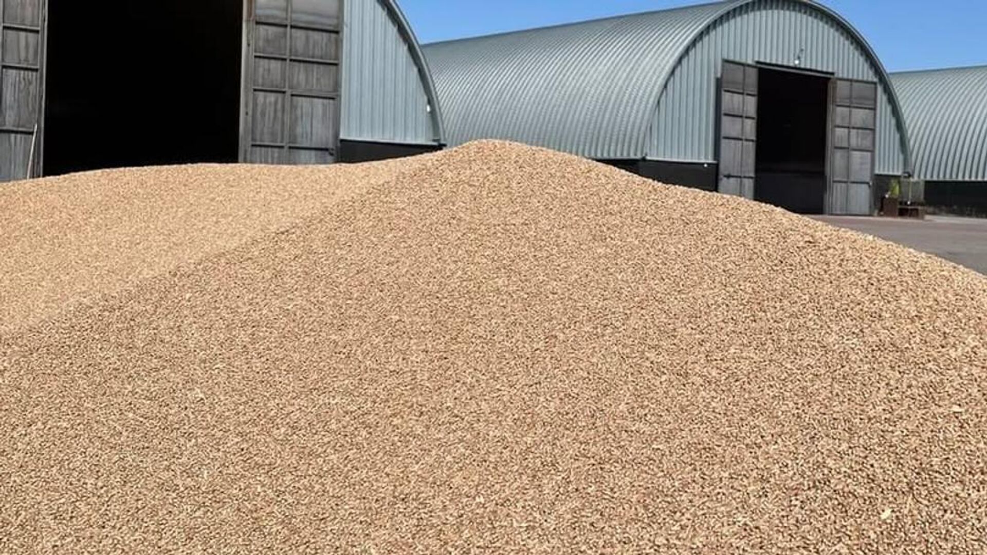 Хлебные базы Продкорпорации готовы к приему зерна нового урожая - Sputnik Казахстан, 1920, 08.08.2025