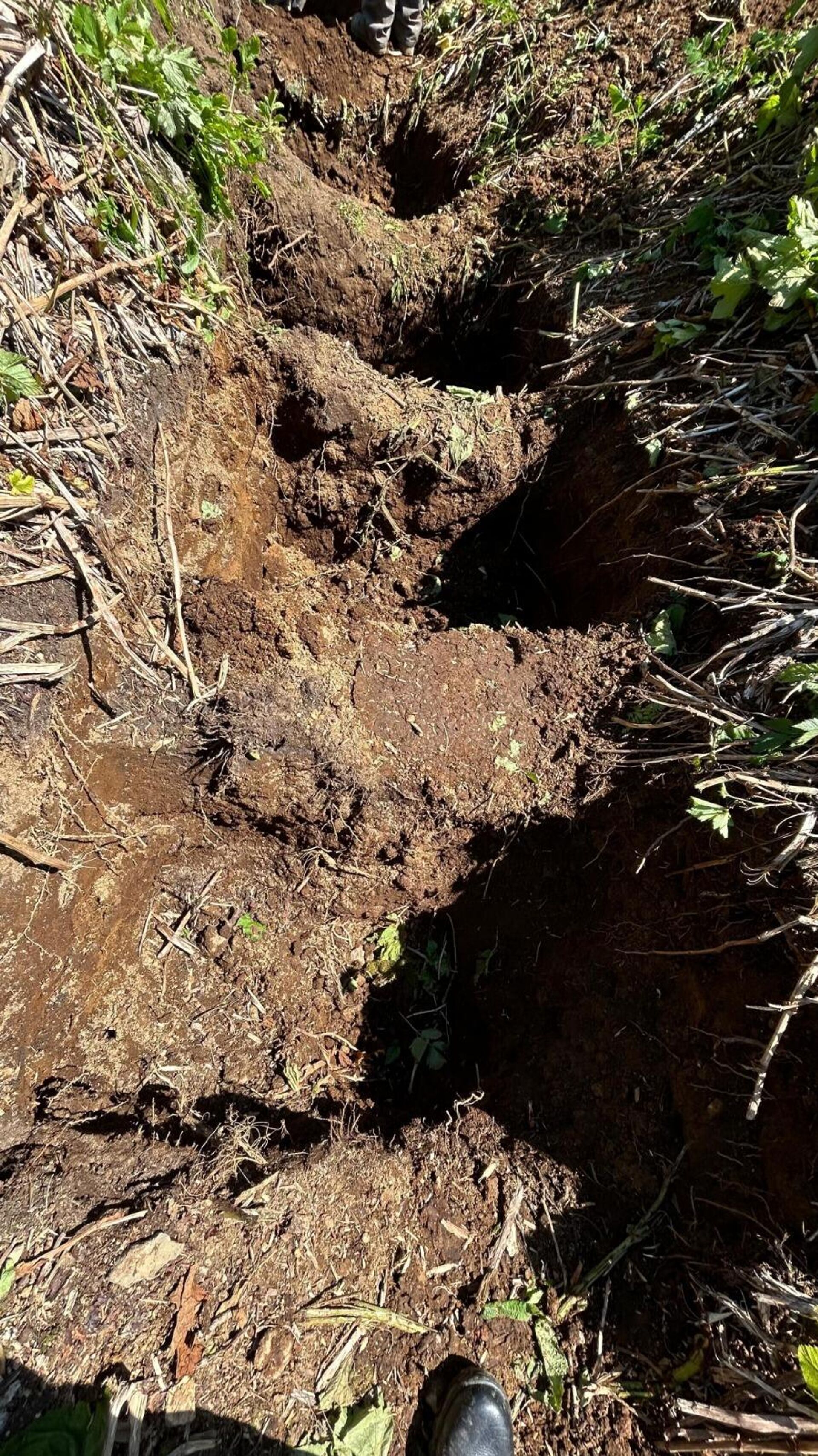 Международная поисковая экспедиция По следам Курильского десанта на острове Шумшу  - Sputnik Қазақстан, 1920, 11.08.2025