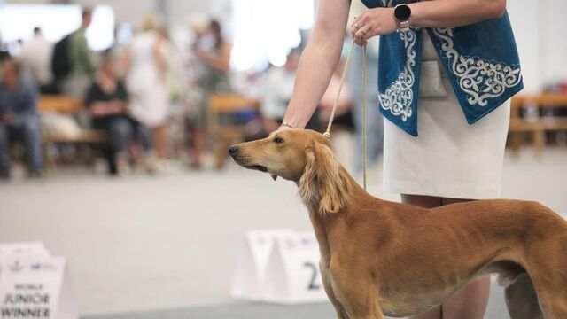 Шабуылға ұшыраған сағат