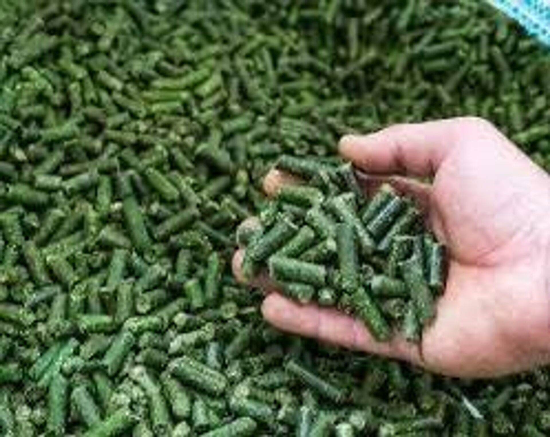 Гранулированный корм для скота - Sputnik Қазақстан, 1920, 13.08.2025