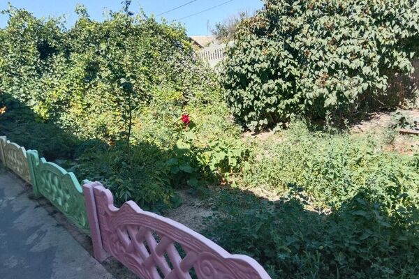 Жамбыл облысында өгей балаларын ұрды деген күдікке ілінген Ұзақбай Таубаевтың шаңырағы - Sputnik Қазақстан