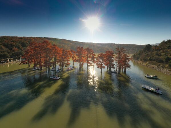 Снимок Кипарисового озера фотографа Сергея Шандина , представленный на фотовыставке С высоты птичьего полета - Sputnik Казахстан
