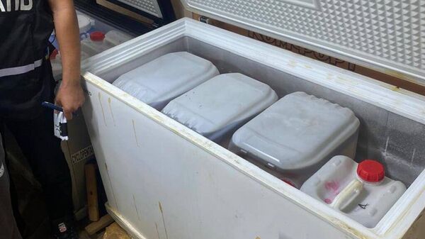 В Восточно-Казахстанской области ликвидирована огромная нарколаборатория  - Sputnik Казахстан