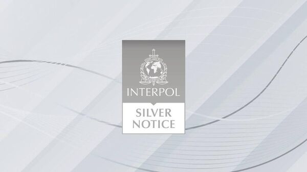 Интерпол выпустил первое Серебряное уведомление Республики Казахстан - Sputnik Казахстан