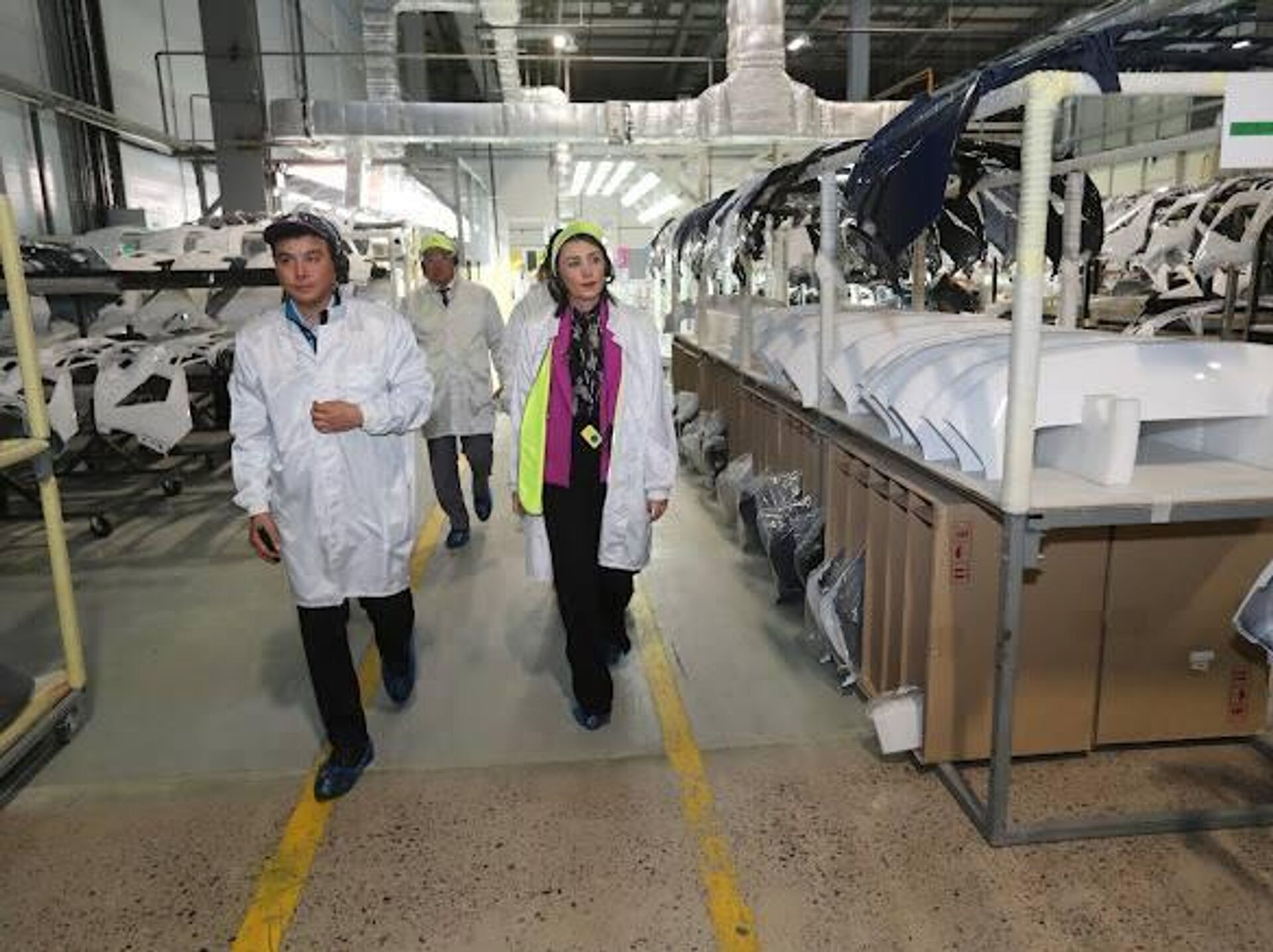 Министр по промышленности и АПК ЕЭК Гоар Барсегян посетила Алматы и Астану с рабочим визитом Министр по промышленности и АПК ЕЭК Гоар Барсегян посетила Алматы и Астану с рабочим визитом - Sputnik Қазақстан, 1920, 26.08.2025