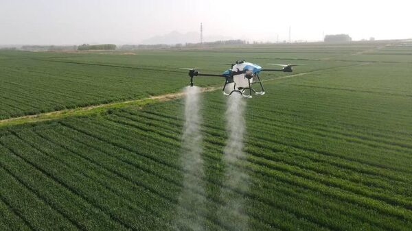 Жамбыл облысында агродрондар шығарыла бастады - Sputnik Қазақстан