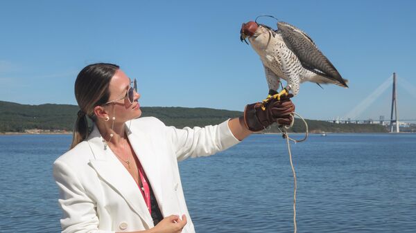 Сұңқар күні форумы - Sputnik Қазақстан