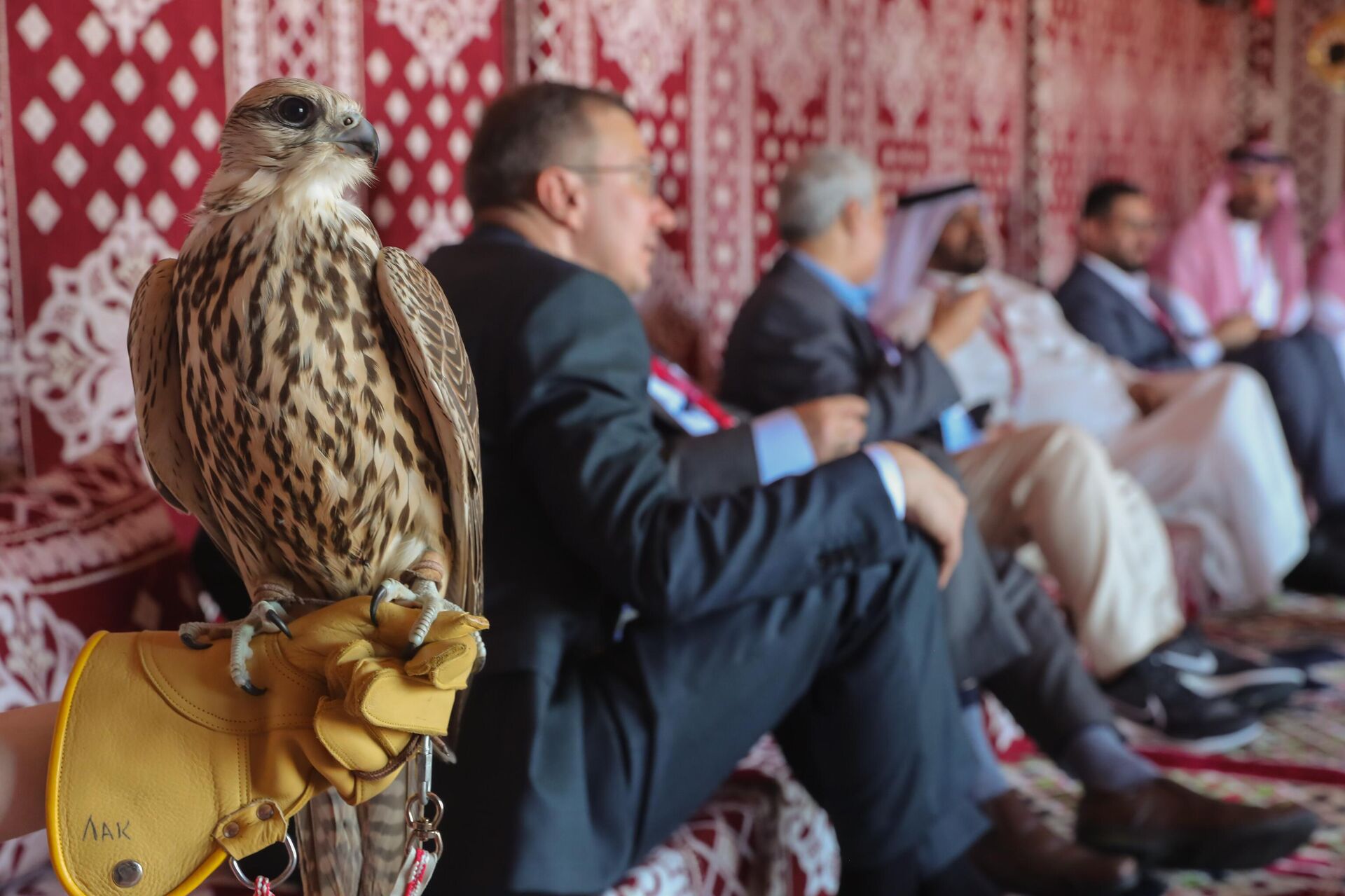 Международный форум День Сокола - Sputnik Қазақстан, 1920, 03.09.2025