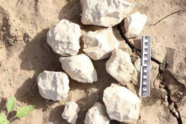 Древние артефакты обнаружили в Туркестанской области - Sputnik Казахстан