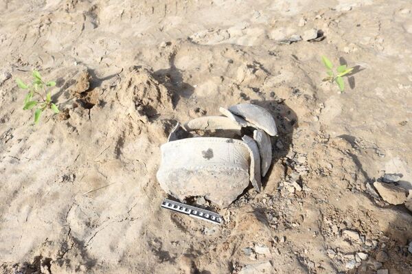 Древние артефакты обнаружили в Туркестанской области - Sputnik Казахстан