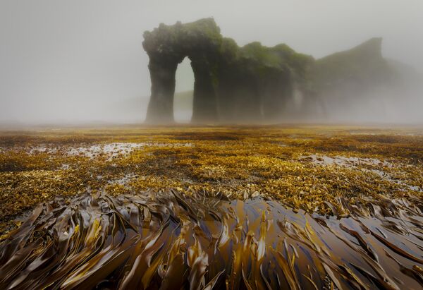 Снимок "Таинственные арки острова Симушир" фотографа Александра Лаврентьева, победивший в номинации "Пейзаж" XI фотоконкурса РГО "Самая красивая страна. - Sputnik Казахстан