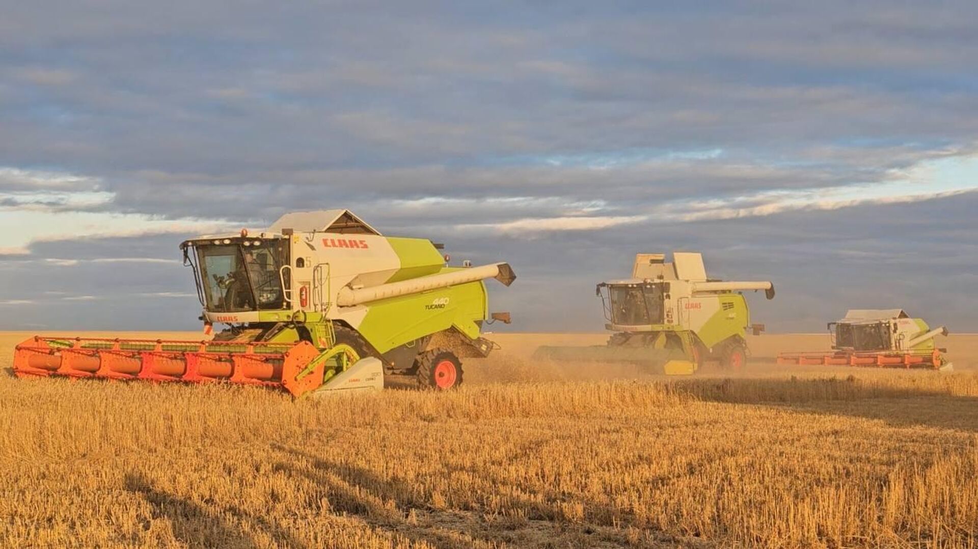 Глава Миннцэкономики Серик Жумангарин посетил сельхозпредприятия и фермы Акмолинской области Глава Миннцэкономики Серик Жумангарин посетил сельхозпредприятия и фермы Акмолинской области - Sputnik Казахстан, 1920, 13.09.2025