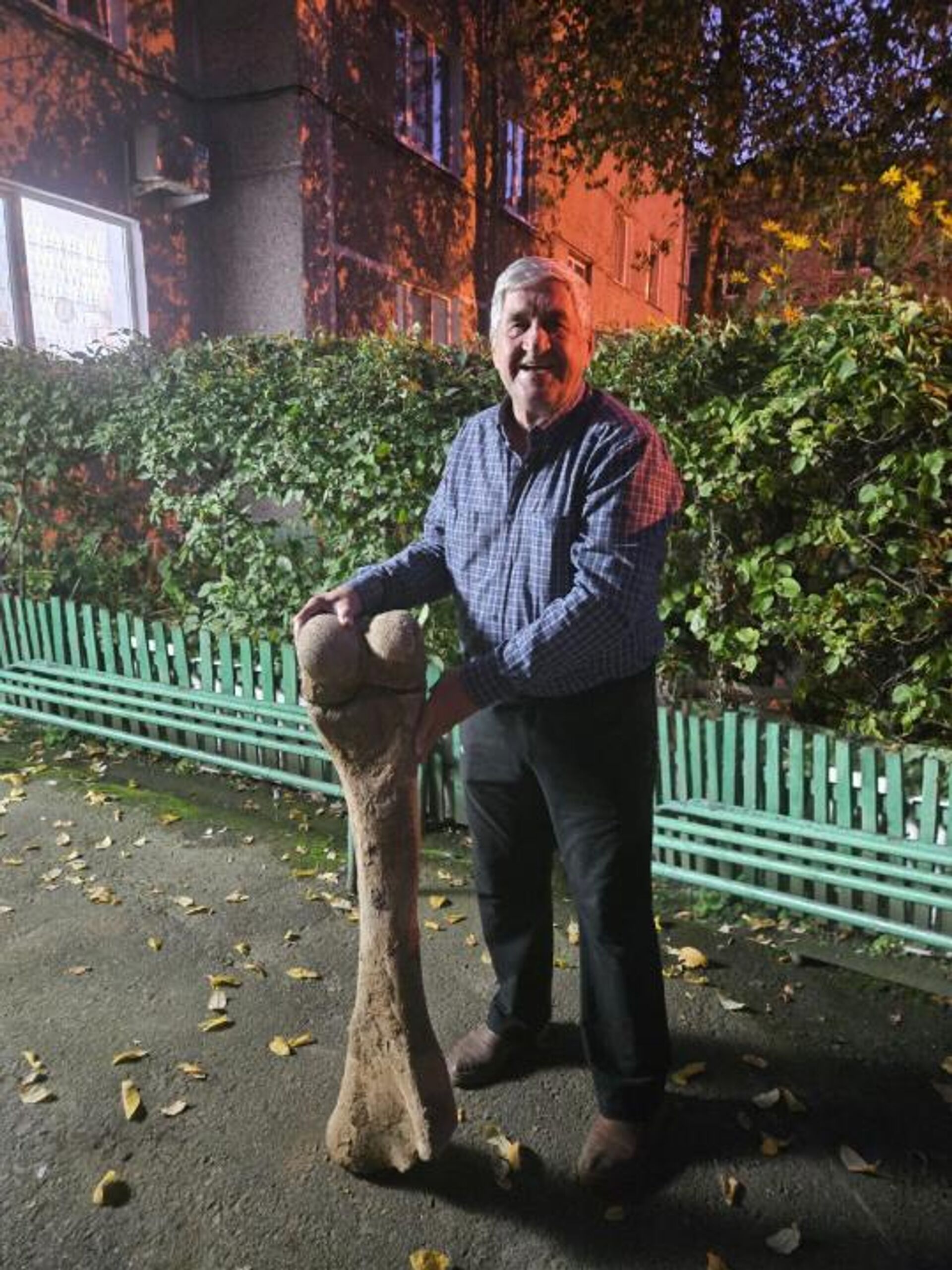 Берцовую кость мамонта изучают ученые Kozybayev University - Sputnik Казахстан, 1920, 15.10.2025