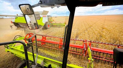 Токаев ознакомился с ходом уборочной кампании в Акмолинской области