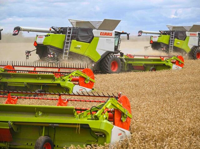 Гей атасының порно видеосы Қазақша порно келін