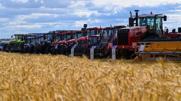 Сельхозформирования Акмолинской области - Sputnik Казахстан