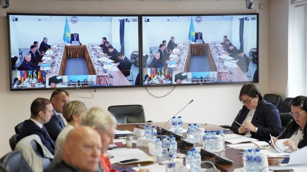 Заседание Консультативного комитета по миграционной политике при Коллегии ЕЭК - Sputnik Казахстан