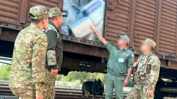 Жамбыл облысында 900 мың қорап заңсыз темекі тәркіленді  - Sputnik Қазақстан