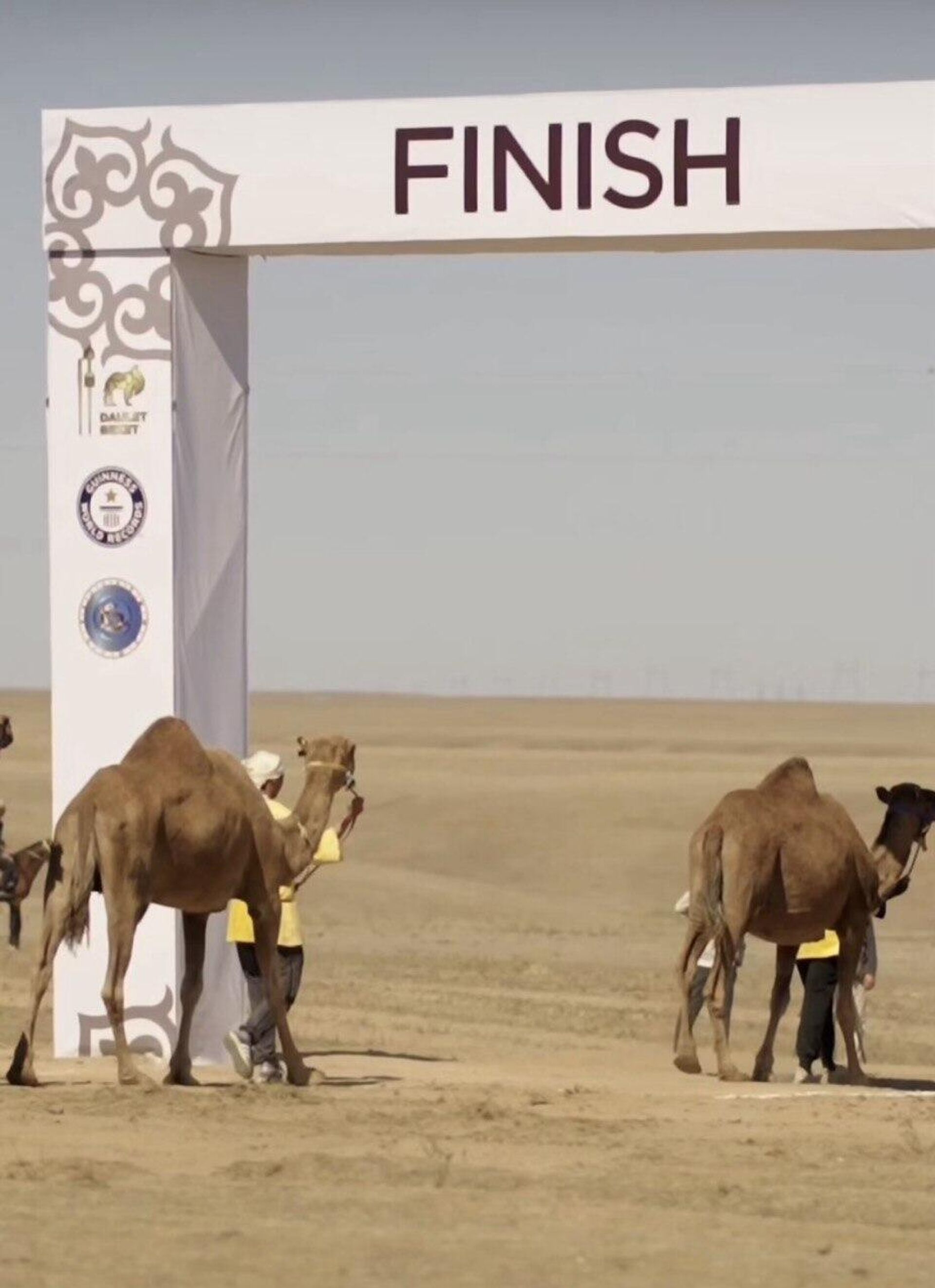 Караван верблюдов в Алматинской области  - Sputnik Казахстан, 1920, 23.09.2025