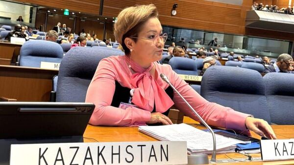 Салтанат Томпиева - вице-председатель Административной комиссии 42-сессии Ассамблеи ИКАО  - Sputnik Казахстан