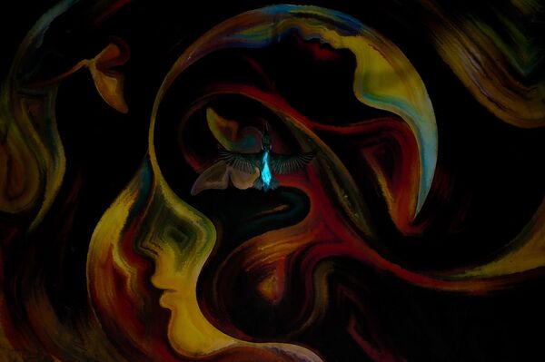 "Қарапайым көктарғақ", Филипп Эггер, Италия. "Қарапайым көктарғақ", Филипп Эггер, Италия. - Sputnik Қазақстан