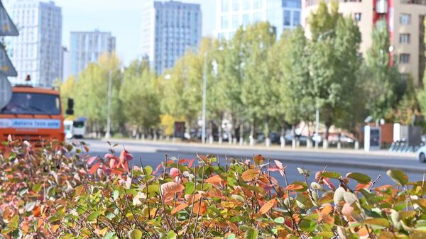 Осень в Астане - Sputnik Казахстан