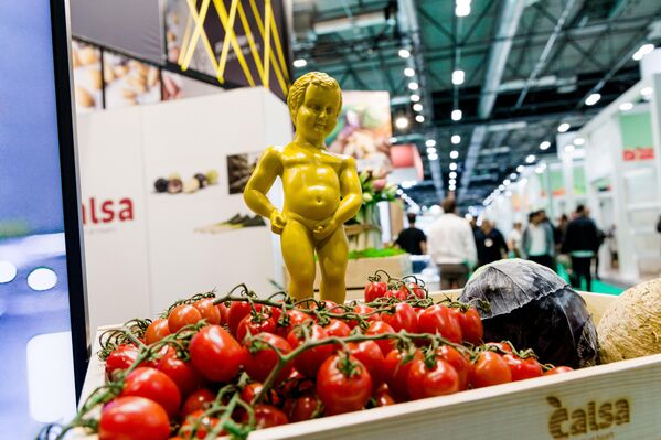 Помидоры во время открытия выставки Fruit Attraction 2025 в выставочном центре Ifema Madrid, Испания. - Sputnik Казахстан