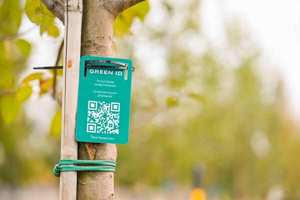 Токаев принял участие в экологической акции Таза Қазақстан - Sputnik Казахстан