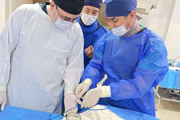 Хирурги казахстанского Национального научного центра хирургии им. А.Н. Сызганова в Ташкенте - Sputnik Казахстан