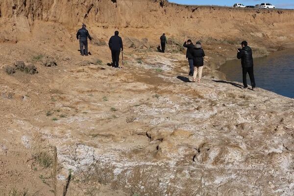 Местность, где были найдены кости взрослого мамонта - Sputnik Казахстан